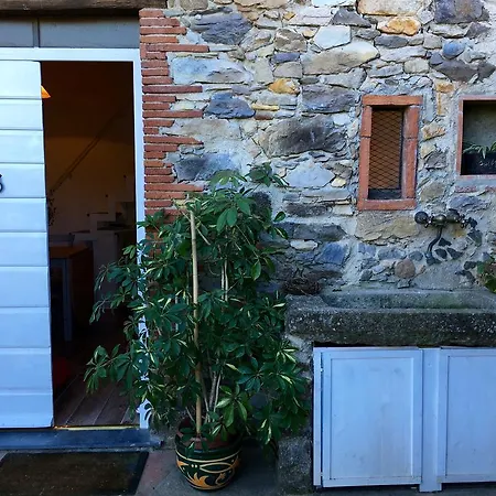 Casa Bouganville Massa Macinaia